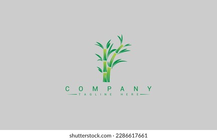 bamboo logo template. green bamboo trees vector design.