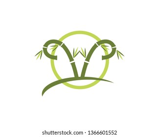 Bamboo Logo Template vector icon illustration design