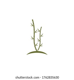 Bamboo Logo Template vector icon illustration design