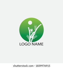 Diseño del icono de la plantilla de logotipo de bambú