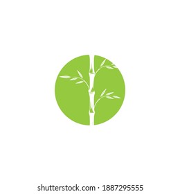 Bamboo Logo Template vector icon illustration design