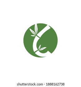 Bamboo Logo Vorlage Vektorsymbol-Design