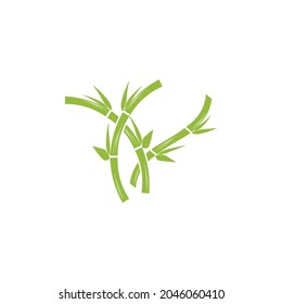 Diseño del icono de la plantilla de logotipo de bambú