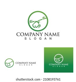 Bamboo Logo Template vector icon illustration design