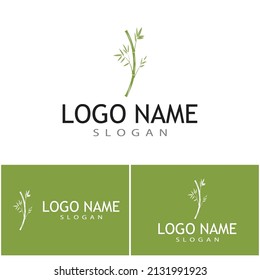 Bamboo Logo Template vector icon illustration design