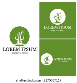 Bamboo Logo Template vector icon illustration design