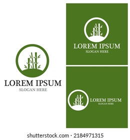 Bamboo Logo Template vector icon illustration design
