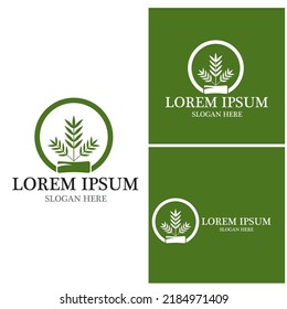 Bamboo Logo Vorlage Vektorsymbol-Design