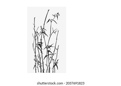 Bamboo luxury design of drawings, fabrics, prints. Vector of a Japanese pattern.