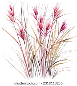 Bamboo Muhly Watercolor illustration. Hand drawn underwater element design. Artistic vector marine design element. Illustration for greeting cards, printing and other design projects.