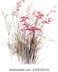 Bamboo Muhly Watercolor illustration. Hand drawn underwater element design. Artistic vector marine design element. Illustration for greeting cards, printing and other design projects.