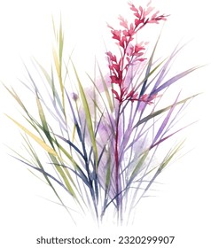 Bamboo Muhly Watercolor illustration. Hand drawn underwater element design. Artistic vector marine design element. Illustration for greeting cards, printing and other design projects.