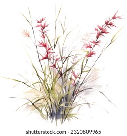 Bamboo Muhly Watercolor illustration. Hand drawn underwater element design. Artistic vector marine design element. Illustration for greeting cards, printing and other design projects.