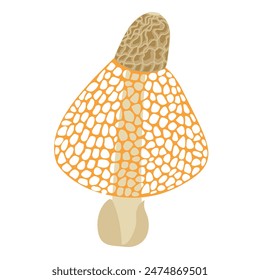 Bamboo mushroom. Hand drawn veiled lady mushroom trendy flat style isolated. Phallus indusiatus edible delicious mushroom, asian cuisine, delicacy, vegetarian food. Vector clip art illustration.