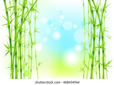 Bamboo nature backdrop