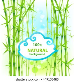 Bamboo nature background