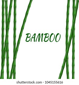 Bamboo nature simple frame