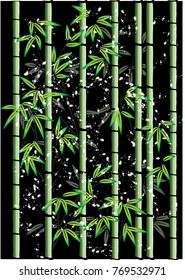 bamboo in the night