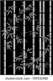 bamboo in the night