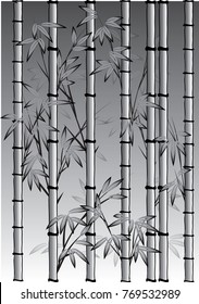 bamboo in the night