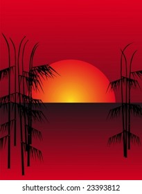 Bamboo on a background of a dawn