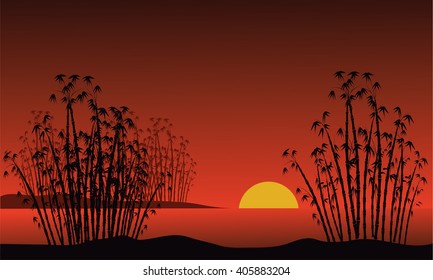 Bamboo on a background of a dawn and moon