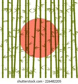 Bamboo on a background of the red sun. Vector EPS10