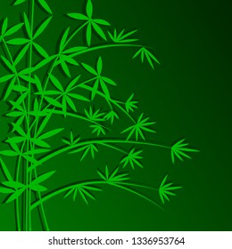 Bamboo on green background