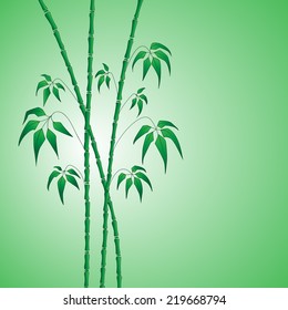 bamboo on green vector background 