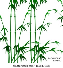  Bamboo on the white background vector