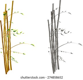 Bamboo on a wind