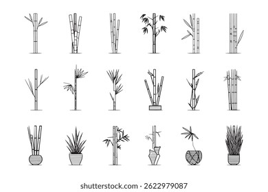 The  Bamboo outline minimalist vector