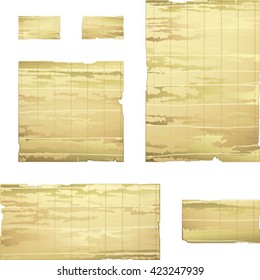 bamboo papyrus banner , vector drawing