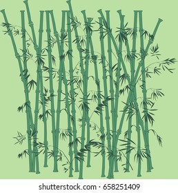 Bamboo Pattern