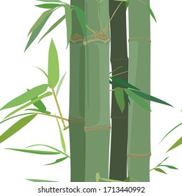 Patrón de bambú en la ilustración vector gráfico