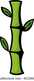 bamboo plant