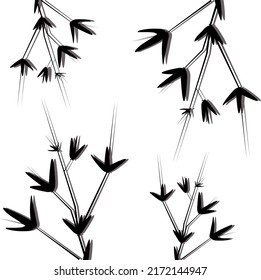 Bamboo plant .  Black and white clip art isolated on white background. Antique vintage engraving illustration.