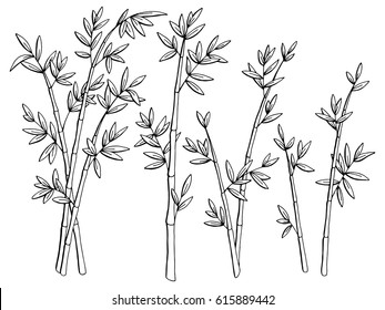 Bamboo plant graphic black white isolated sketch illustration vector