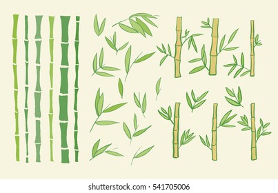 bamboo plant graphic set