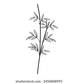 Bamboo plant with hand drawn sketch. Black and white clip art isolated on white background. bamboo tree vector illustration