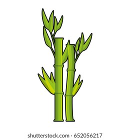 bamboo plant icon