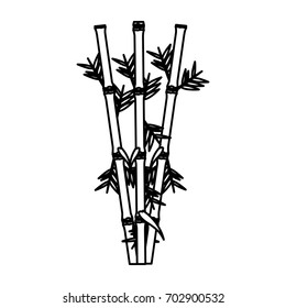 bamboo plant icon image
