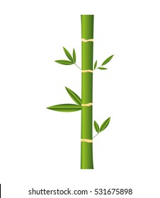 bamboo plant isolated icon vector illustration design