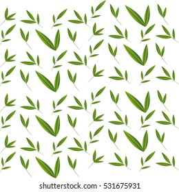 bamboo plant isolated icon vector illustration design