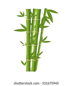 bamboo plant isolated icon vector illustration design