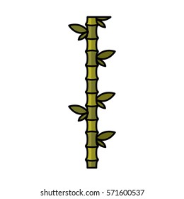 bamboo plant isolated icon vector illustration design
