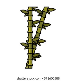 bamboo plant isolated icon vector illustration design