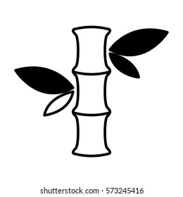 bamboo plant isolated icon vector illustration design