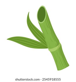 Bamboo plant. Natural green bamboo sprout, bamboo stem with green leaves flat vector illustration. Cartoon bamboo shoot on white background
