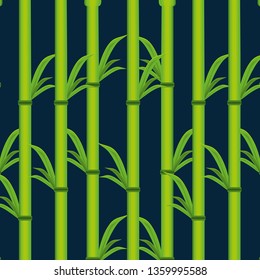 bamboo plant natural pattern